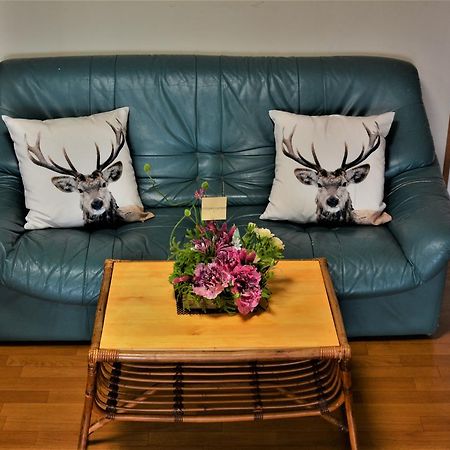 Deerhorn Hostel Хокуто Екстериор снимка